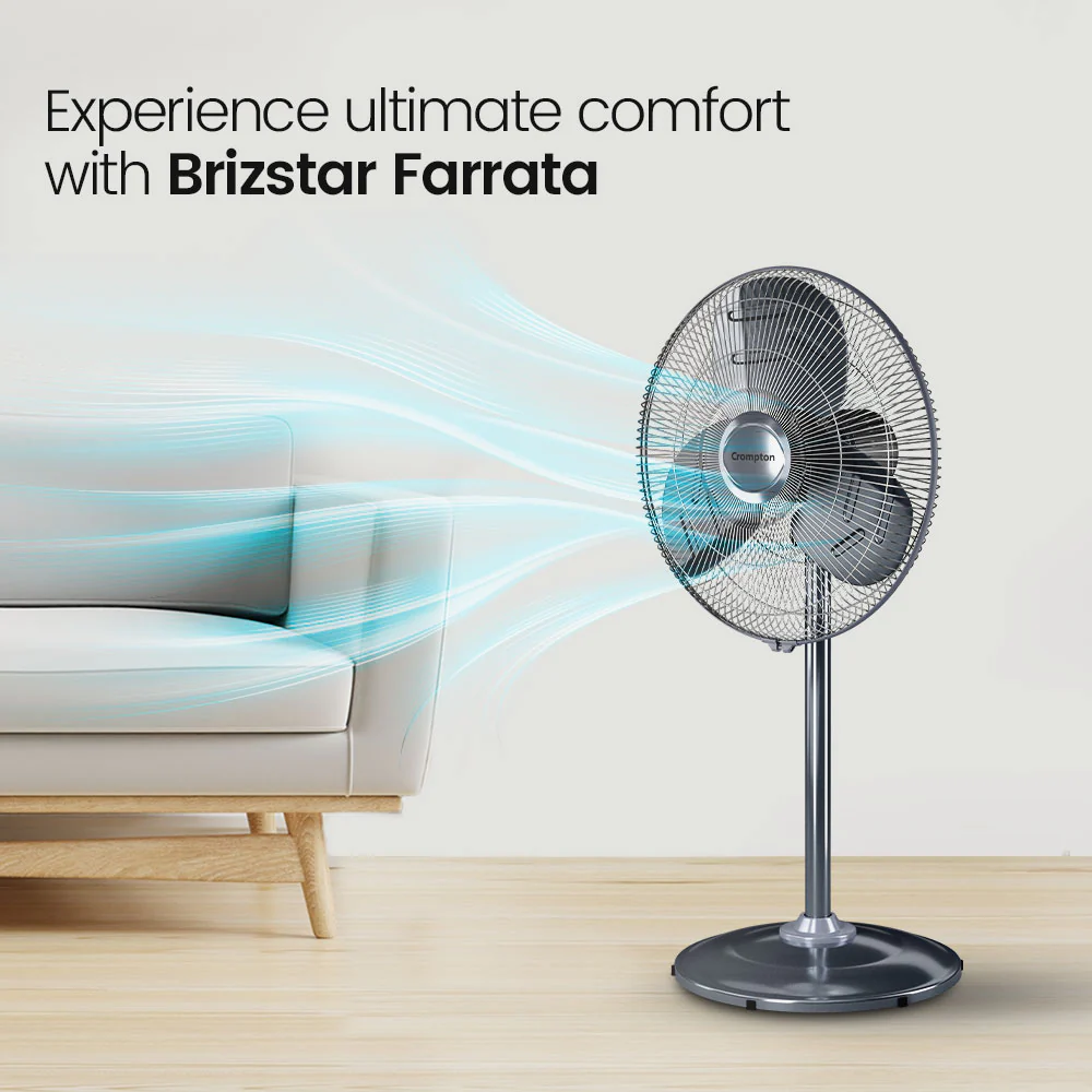 Crompton Brizstar Farrata - Image 2