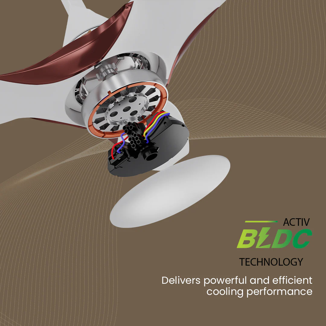 Crompton SilentPro Enso BLDC Ceiling Fans - Image 3